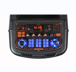 CH-8820 8 Zoll Dual Wireless PA System Wiederauf ladbare Trolley Active Lautsprecher mit Flame Light für Home DJ Verwenden Sie Remote-Funktion - Product Image 5