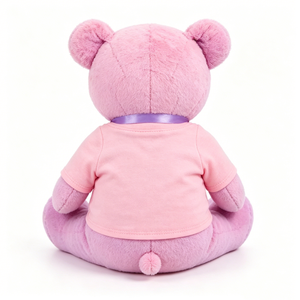Oso de peluche rosa personalizado, oso de peluche relleno, oso de peluche vestido, oso de peluche rosa suave, oso de peluche con camiseta - Product Image 3