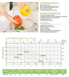 Pompa Air Sentrifugal Irigasi 1/2 HP <span class=keywords><strong>CPM</strong></span> 130 Elektrik Efisiensi Tinggi - Product Image 5