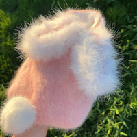 Robe brodée respirante unie, coupe princesse classique, tendance, pour petits chiens/chats, en polyester, vente en gros transfrontalière