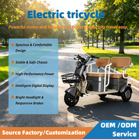 AFTFA Era Modern OEM ODM Pabrik Lintas Negara Menyediakan Kendaraan Roda Tiga Penumpang Listrik 3 Motor Brushless Baja Baterai Asam Timbal