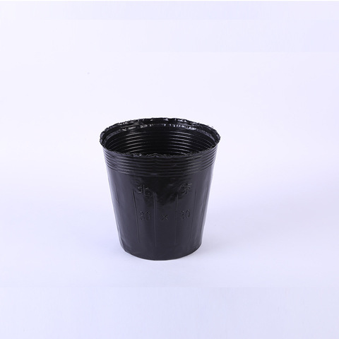 Plastic Seedling Tray Wholesale Family Plant Seedling Pot Black Thickened Nursery Pots Factory Direct Sale Horticultural Bag