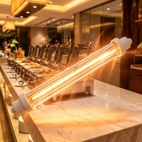 Lampe chauffante halogène infrarouge 118 mm 300 W, angle de faisceau 360°, pour buffet, restaurant, vitrine de présentation alimentaire, chauffage et maintien au chaud