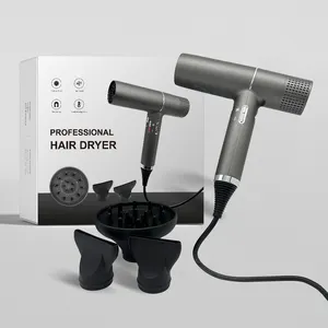 New Design Brushless Motor Hair Dryer Ionic Lightweight High Speed Hair Dryer With Automatic Cleaning Function
