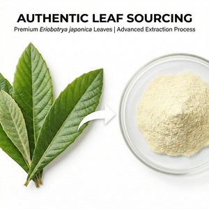 Hochreines Natürliches Loquat-Blattextrakt-Pulver 10%-50% Ursolsäure Flavonoidien Lösungsmittelextrahiert Künstliche Pflanzenzucht Nahrungsergänzung 1kg - Product Image 3