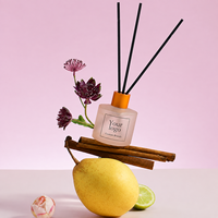 Diffuseur à bâtonnets en verre dépoli avec capuchon orange et bâtonnets noirs, parfum d'ambiance pour la maison, décoration spa, fournisseur en gros OEM ODM