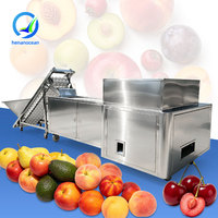 OCEAN Olijvenpitter Dadelpitverwijderaar Kleine Schaal Perzik Pruim Kers Dadel Fruit Ontpitmachine