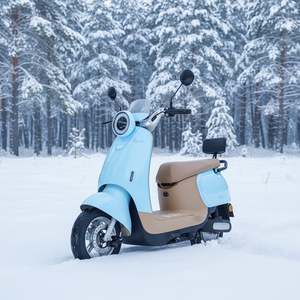 มอเตอร์ฮับหลังคุณภาพสูง 48V 800W สำหรับสกู๊ตเตอร์ไฟฟ้าและมอเตอร์ไซค์สำหรับผู้ใหญ่ - Product Image 4
