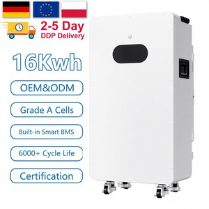 แบตเตอรี่ลิเธียมไอรอนฟอสเฟต (LiFePO4) สำหรับเก็บพลังงานแสงอาทิตย์ติดผนังบ้าน ขนาด 15 กิโลวัตต์ชั่วโมง 51.2 โวลต์ 300 แอมป์ชั่วโมง รุ่นขายดี พร้อมหน้าจอสัมผัส LCD ระบบจัดการแบตเตอรี่ (BMS) และ CAN  ระดับการป้องกัน IP65 - Product Image 1