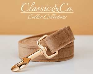 Collar y Correa Personalizados para Perro Coffee Veet con Lazo de Flores y Placa Grabada con Nombre Silencioso, Tamaños Pequeño/Mediano/Grande, Regalo para Cachorros de Boda - Product Image 5