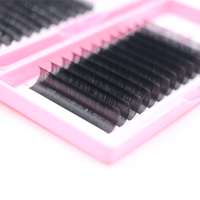 Vente en gros d'extensions de cils Premium Fournitures Plateaux de cils à volume individuel Extensions de cils en cheveux synthétiques de marque privée