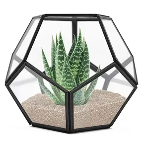 Terrarium en verre géométrique pour plantes aériennes de jardin, décoration de <span class=keywords><strong>rebord</strong></span> de <span class=keywords><strong>fenêtre</strong></span>, étagères, support pour plantes succulentes, cactus, fougères, pot de fleurs - Product Image 1
