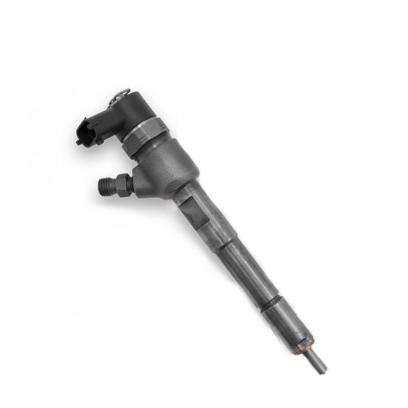 Common Rail Fuel Injector 0 445 110 419 Diesel Fuel Injection Nozzle 0445110419 For Fiat Ducato 2.0 CDTI