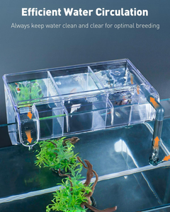 Compra Uno y Obtén Uno Gratis: Pecera Ecológica de Acrílico Autosustentable, de Bajo Mantenimiento y Ultra Silenciosa, Apilable y Multicapa <span class=keywords><strong>para</strong></span> Peces Betta - Product Image 6