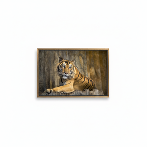 Elegant Wild Tiger <b>Canvas</b> Print - Modern Man Cave Decor,GOLD <b>FRAMED</b> <b>CANVAS</b> - Product Image 2
