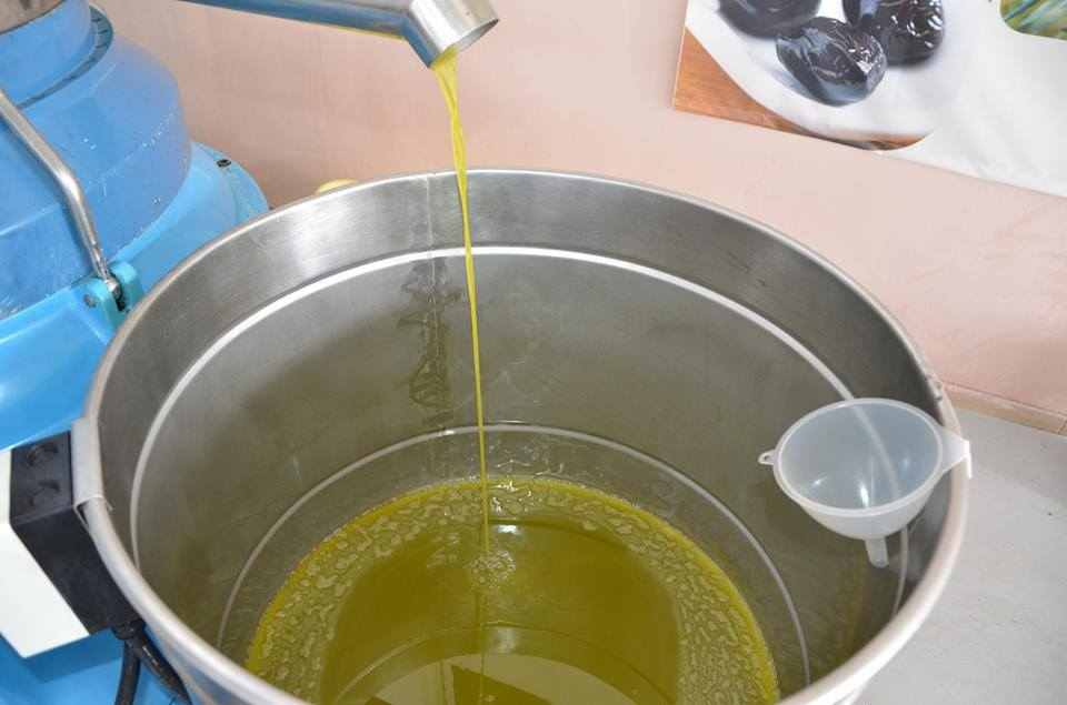 Cold press master grade olive coconut oil centrifuge extraction machine