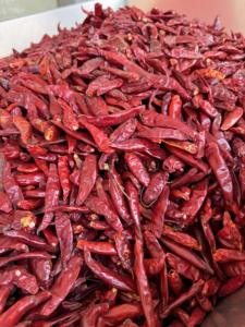 سعر جيد حار بيع الفلفل الحار الطبيعي المجفف الأحمر الساخن الفلفل الحار كبير جاف الفلفل الأحمر مع السيقان - Product Image 2