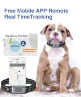 Prêt à expédier - Traceur GPS pour animaux de compagnie Bela - Étanche IPX7 - Prise en charge multilingue - Collier de suivi pour chien et chat - Livraison rapide en 7 jours