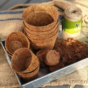 Pots en fibre de coco biodégradables en vrac pour les États-Unis et le Canada - Product Image 2