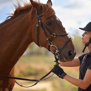 OEM Custom Professional Winter Horse Riding <b>Gloves</b> <b>for</b> Women Comfortable Good Selling Leather Equestrians <b>Gloves</b> - Product Image 6