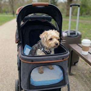Prêt à expédier : Tapis d'apprentissage pour chiots écologiques, super absorbants, imperméables IP67, faible MOQ, logo personnalisé - Product Image 3