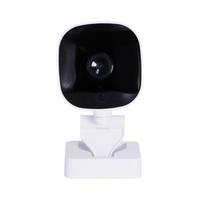 Mini caméra intelligente WiFi, sécurité domestique, vision nocturne HD 720P, audio bidirectionnel, caméra de capture sans fil pour la surveillance des fenêtres et des aquariums