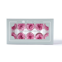Têtes de roses Austin naturelles préservées, roses éternelles David Austin, fleurs réelles au toucher naturel, bouquets longue durée