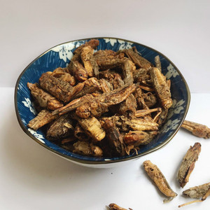 Huang Chong แมลงกินได้สำหรับเครื่องเทศและสมุนไพรเดี่ยว - Product Image 4
