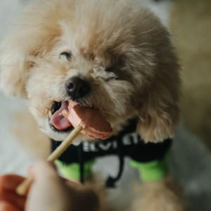 China Factory Manufacturer Supplier Wholesale Bulk Export Private Label OEM ODM Low MOQ Healthy Freeze Dried <strong>Dog</strong> Lollipop - Product Image 4