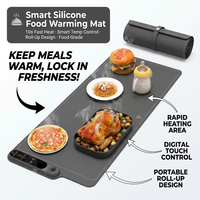 Tapis chauffant portable en silicone pour aliments, tapis chauffant en silicone pliable, plateau chauffant électrique, plaques chauffantes