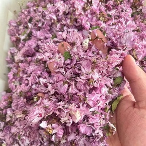 Thé de fleurs de <span class=keywords><strong>cerisier</strong></span> séchées Premium 500g/sac <span class=keywords><strong>Prunus</strong></span> Serrulata Saveur naturelle japonaise Thé santé brut en vrac Boîte Bouteille - Product Image 1