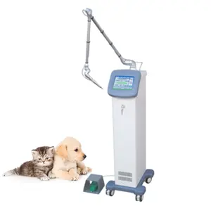 CL40 2022 HOT SALE 30W CO2 surgical laser machine for Veterinary surgery laser