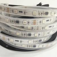 Bande LED RVB Pixel Étanche 2811 Néon Flexible Adressable Affichage RVB Intelligent WS2812B 12V Bande LED RVB Couleur Rêve