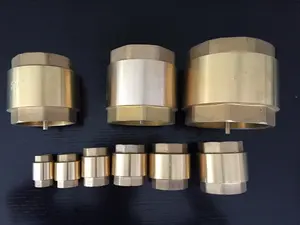 Lishui 730b 1/2 inch nước dọc nhỏ mùa xuân Flap Hexagon Brass kiểm tra van