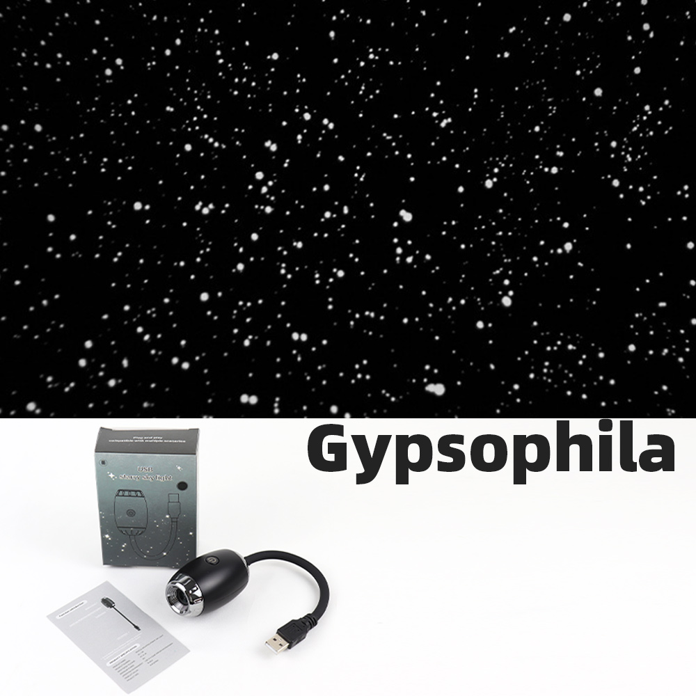 Gypsophila negra