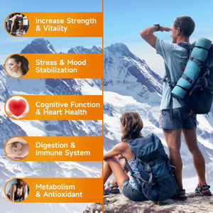 سوليلان أوم علامة تجارية خاصة عضوي هيمالايا شيلاجيت أشواغاندا جينسينغ ماكا المنشار بالميتو استخراج غثوي رجل بالغ الصحة الجنسية - Product Image 3