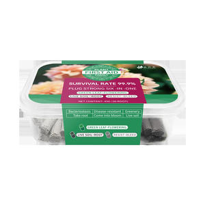Compost vert Daojimei personnalisé pour plantes, trois couleurs, à libération lente, pour barres nutritives de premiers secours, fleurs en pot d'<span class=keywords><strong>intérieur</strong></span> et bonsaïs - Product Image 6