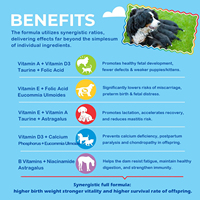 Complément nutritionnel gestationnel pour animaux de compagnie, liquide à absorption rapide contenant des multivitamines, de la taurine et un complexe d'herbes