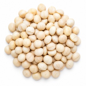 Nueces de Macadamia Tostadas al por Mayor, Sin Cáscara, Grado A, 1 kg, Snack de Nueces de Macadamia, Precio de Fábrica, Paquete a Granel - Product Image 3