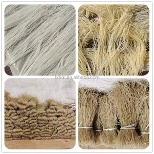TingXiang vendite della fabbrica di patate fecola di riso Vermicelli macchina per fare la macchina/macchina per la pasta a casa/macchina per la produzione di spaghetti di riso - Product Image 4