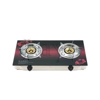 Cuisinière à gaz électrique d'extérieur pour la maison, double brûleur, plaque de cuisson en céramique et verre, avec allumage automatique