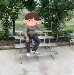 Support de plante à plusieurs niveaux en acier inoxydable de haute qualité support de Pot de fleur en acier antirouille pour usage <span class=keywords><strong>intérieur</strong></span>/extérieur balcon terrasse <span class=keywords><strong>jardin</strong></span> - Product Image 5