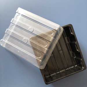 Boîte blister personnalisée en PET plateau pour semis <span class=keywords><strong>pot</strong></span> de <span class=keywords><strong>fleur</strong></span> en plastique succulent pour légumes avec couvercle boîte transparente - Product Image 1