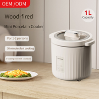 Cuisinière à riz électrique mini 1 tasse 1 litre, machine à soupe, cuisinière électrique en céramique 110V, mijoteuse, cuisinière à riz coréenne
