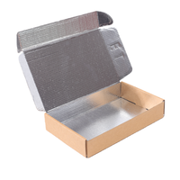 Boîte d'avion en carton ondulé personnalisée, isolée thermiquement, doublée de papier d'aluminium, pour chewing-gum
