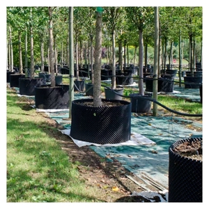 Thủy canh Vườn Ươm không khí gốc cắt tỉa cây thúc đẩy tăng trưởng gốc nhanh chóng kiểm soát container nồi - Product Image 4