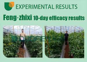 200-200-200 + <span class=keywords><strong>Engrais</strong></span> liquide agricole organique TE pour <span class=keywords><strong>gazon</strong></span> de jardin de pelouse de riz - Product Image 6