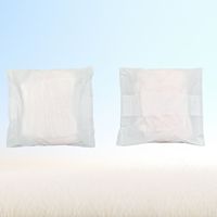Meistverkaufte Superabsorbierende 100-180ml Japan SAP OEM ODM Menstruationshöschen M-XL Weich Organisch Atmungsaktiv Biologisch Abbaubar Wasserdicht
