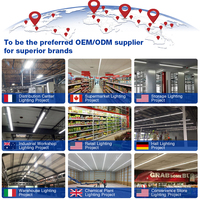 Lonyung personnalisé ETL cuisine comptoir armoire Led sous la lumière de l'armoire 60cm 2ft 7w 3CCT dimmable linkable placard lampe avec prise US