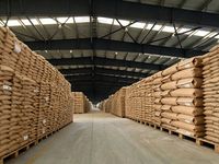 Abrasifs en carbure de silicium vert de qualité supérieure pour applications de meulage industriel